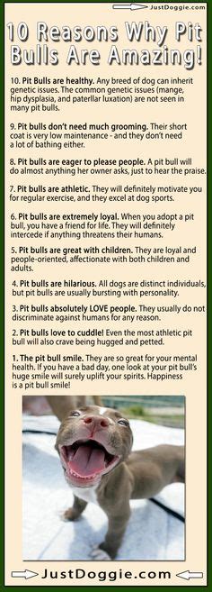 Pit Bull Facts