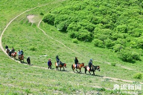 盛夏的甘肅古坡草原景區迎來旅遊小高峰 每日頭條