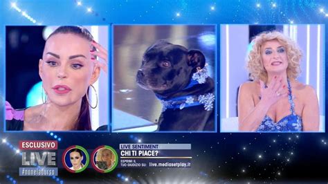 Nina Moric Incontra Loredana Fiorentino E Il Cane Baghera Sei