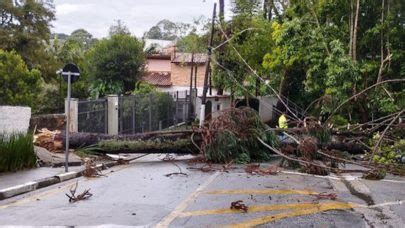 Temporal em SP provoca novos alagamentos e queda de árvores