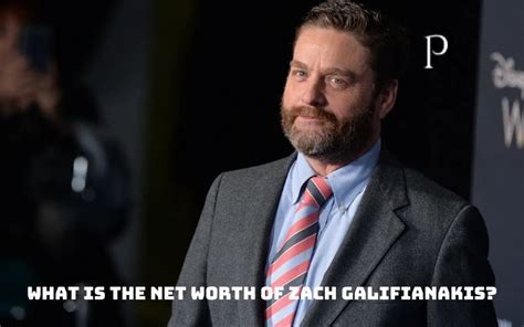 Zach Galifianakis Net Worth 2019 Actor Biography 1st