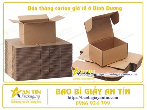 ban thung carton gia   binh duong