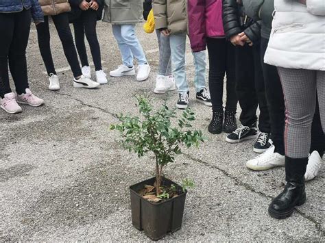 A Montalbano Messe A Dimora Piante Nellambito Del Progetto Un Albero