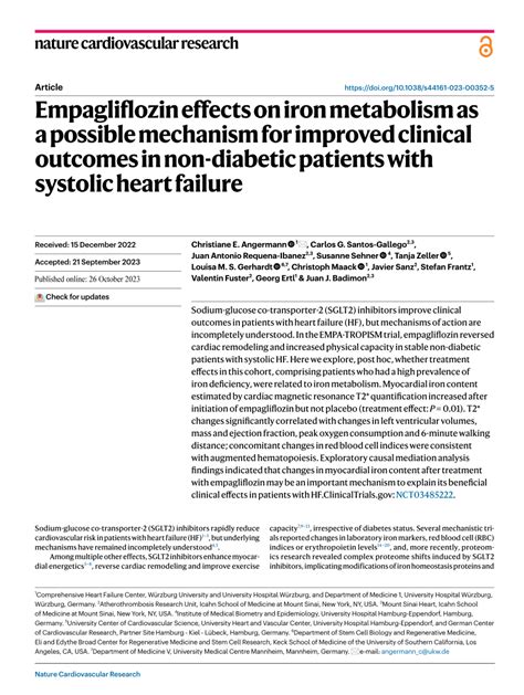 PDF Empagliflozin Effects On Iron Metabolism As A Possible Mechanism