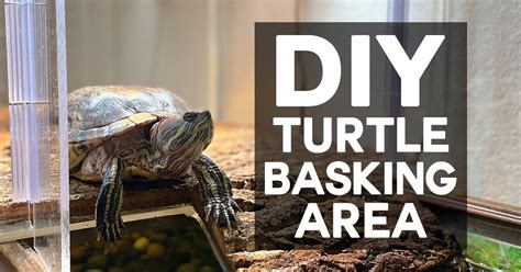 Stackable Reptile Cage Diy