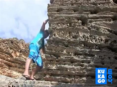 Milf Anal Sex Porn Videos Cumlouder