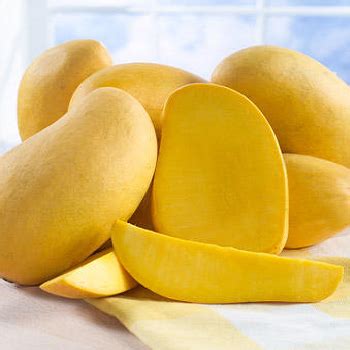 sindhri mango   price  valsad  ambica mango center id