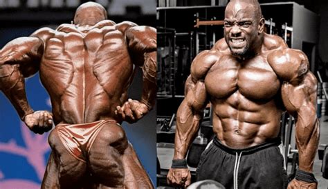 powerlifting  workout routine top   exercises