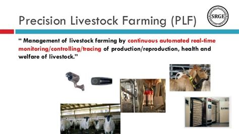 Precision Livestock Farming Cattle Identification Based On Biometric