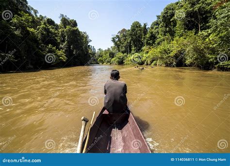 Boat Ride Along Calm River In Lush Green Ropical Rainforest Malaysia