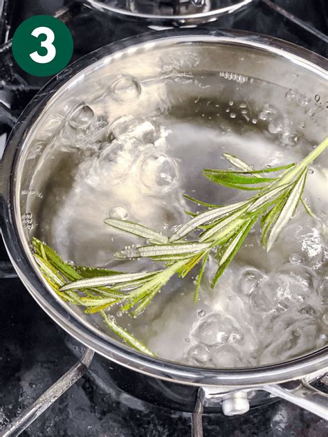 Rosemary Tea Plant Based On A Budget Karinokada