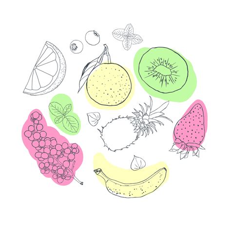 Fruit illustration sketch style bright spots circle flat lay 24270668