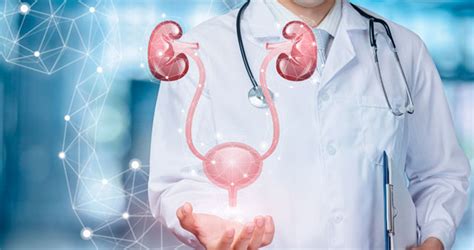 Urologista Trata O Que - O que o urologista trata? Veja os principais procedimentos e quando ...