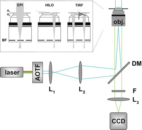 Direct Stochastic Optical Reconstruction Microscopy Dstorm