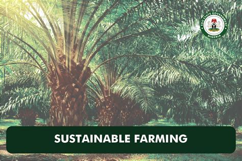 Edo Trains Smallholder Oil Palm Farmers On Sustainable Farming Practices