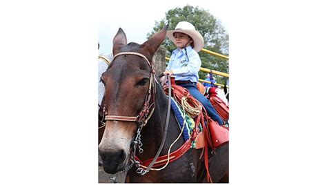 La Mula Amiga Fiel Del Campesino