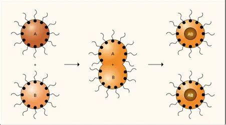 Médias de NANOPARTICULES Encyclopædia Universalis