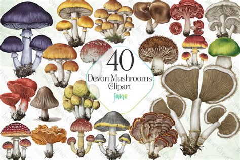 Devon Mushrooms Sublimation Bundle Graphic By JaneCreative Creative