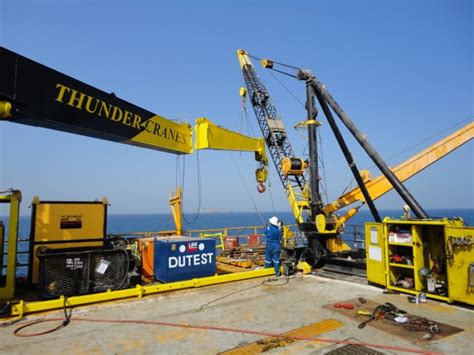 Dsc Thunder Cranes Revolutionary