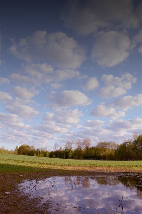 Large swamp after rain. stock image. Image of blue, nature - 21044971