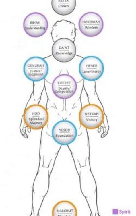 Cinco Formas De Ver Un Rbol De La Vida Incorporado En Un Cuerpo F Sico