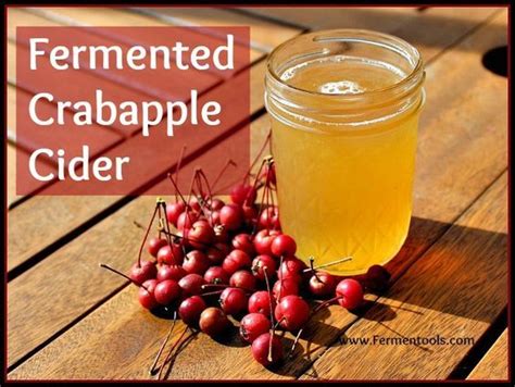 Fermented Crabapple Cider Fermentools Com Fermentation Recipes