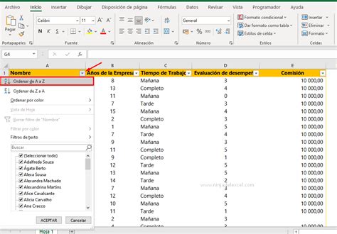 Cómo Ordenar Alfabéticamente en Excel Ninja del Excel