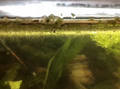 Salling Marks Genius Idea Why Didnt Anyone Think Of This Before