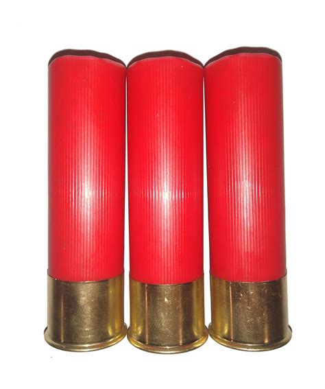 10 Gauge 10ga Smokeless Ammunition 7 12 Shot Old South Ammo