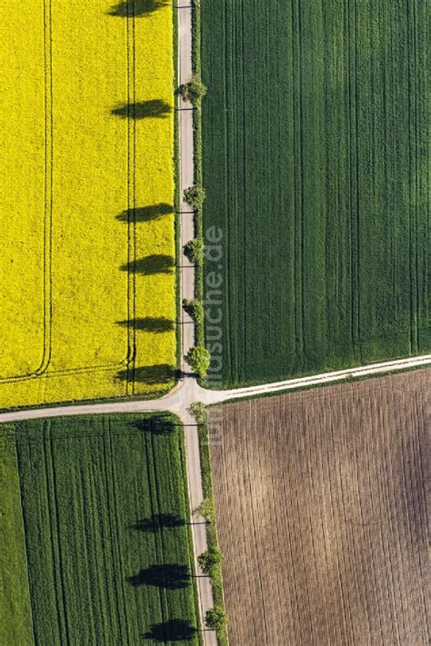 Monheim aus der Vogelperspektive Feld Landschaft gelb blühender Raps