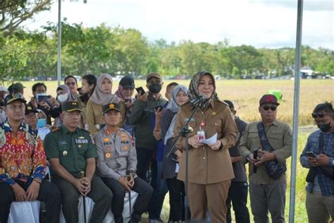 Foto Mentan SYL Panen Raya IP 400 Di Kabupaten Klaten Bisa Jadi