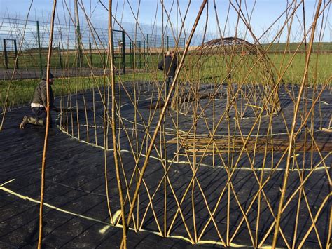 Living Willow Structures Willow Tunnel Willow Wigwam Willow Dome