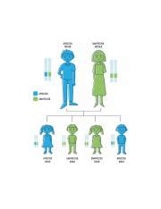 Understanding the Genetic Inheritance Patterns of Affected and | Course ...