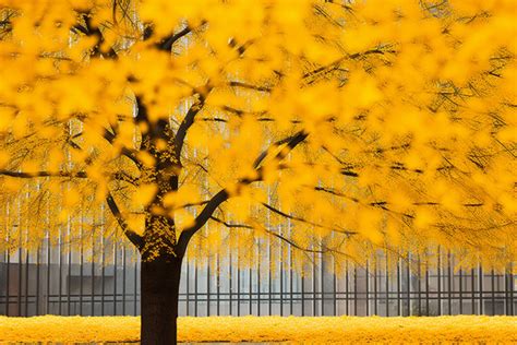 Ground Level Background Images Hd Pictures And Wallpaper For Free