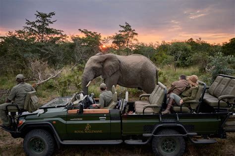 African Safari Packages From Australia Africa Safari Experts