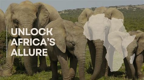 africa tourism research insights african tourism connect