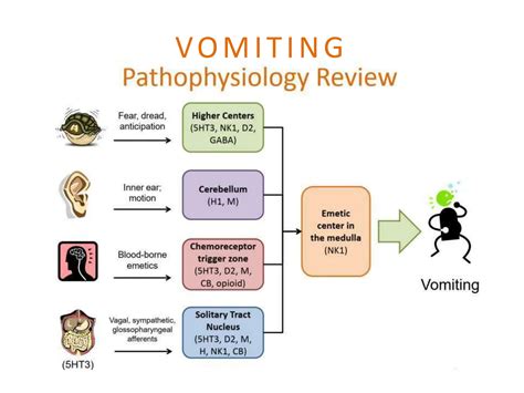 Final Cinv Cancer Induced Nausea Vomiting Ppt