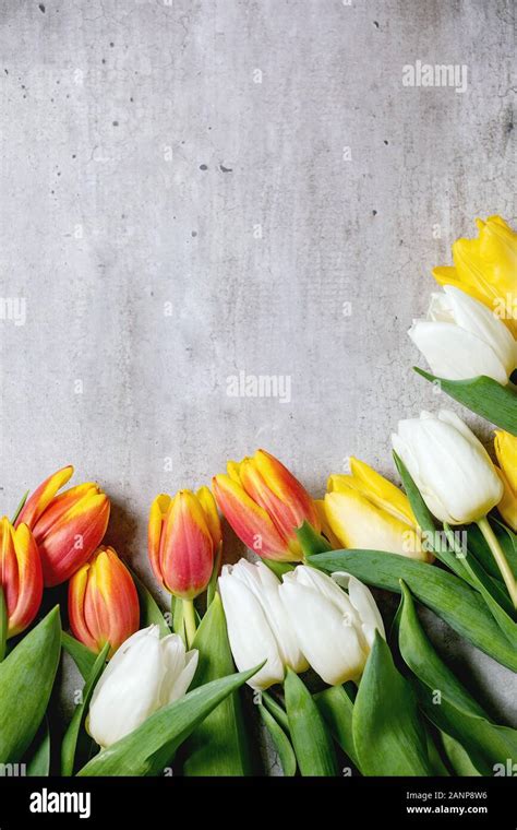 Variety Of Tulips Flowers Stock Photo Alamy