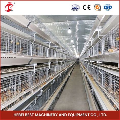 Bestchickencage H Frame Broiler Cages China Feeding Trolley Chicken