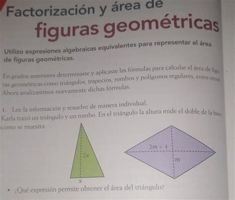 Ayuda Por Favor Por Favor Si No Saben No Contesten Brainly Lat