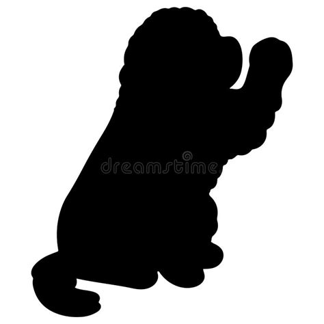 Newfoundland Dog Silhouette Stock Illustrations – 147 Newfoundland Dog ...