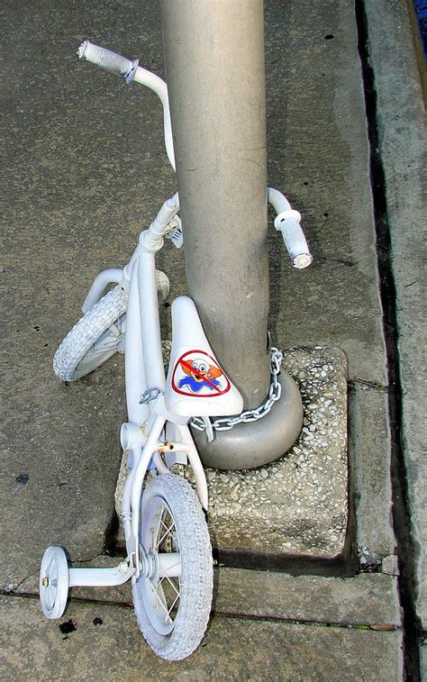 It's Not Funny Photograph by David Brown | Pixels