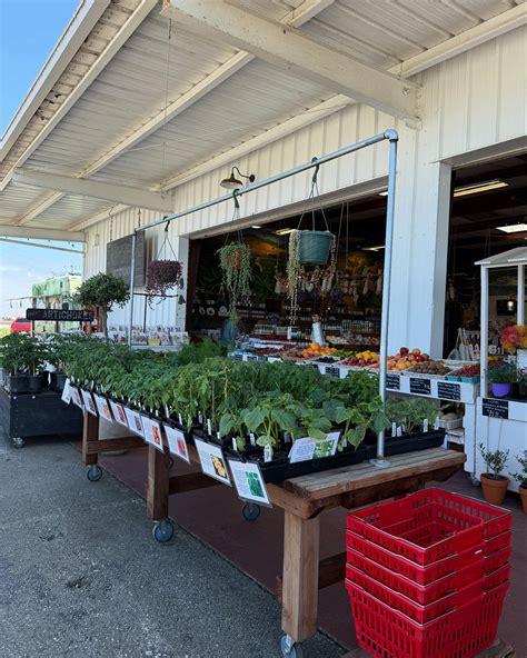 Managers explain how Sub Station 2 sources its fresh local bread 3