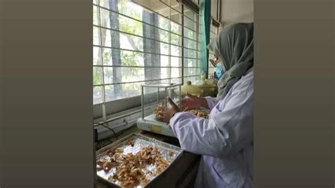 Mahasiswa Ub Olah Limbah Kulit Durian Jadi Obat Jerawat