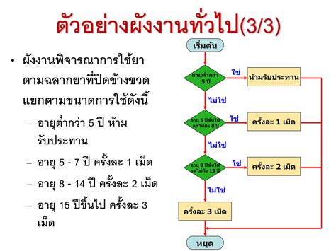 หลักการเขียนผังงาน Flow Chart Ppt