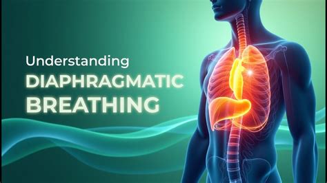 diaphragmatic breathing explained benefits  techniques youtube