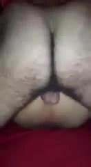 Turkish Shemale Begum Gay Man Porn XHamster
