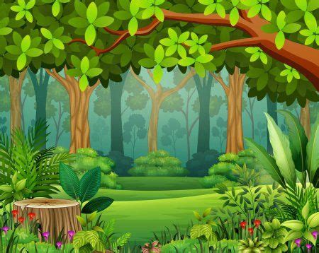 Ilustração em vetor de cartoon de floresta paisagem de verde na