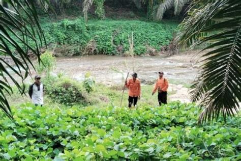 Syahroni Munthe 3 Hari Hilang Di Hutan Akhirnya Ditemukan