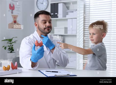 Endocrinologist Showing Thyroid Gland Model To Little Patient At Table